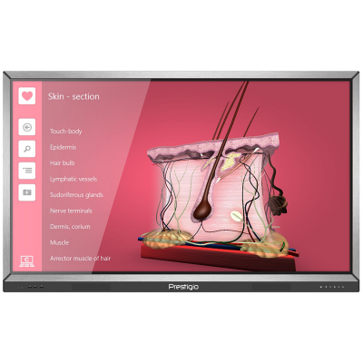 Мультиборд  PRESTIGIO PMB554S558